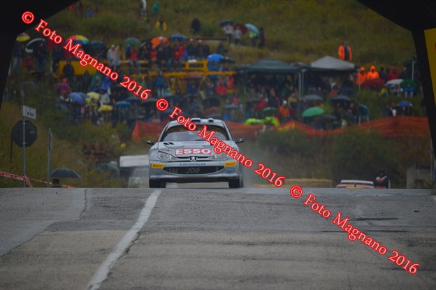 DSC_8782.JPG